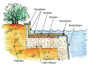 Aufbau eines Naturpools Aufbau eines Naturpools