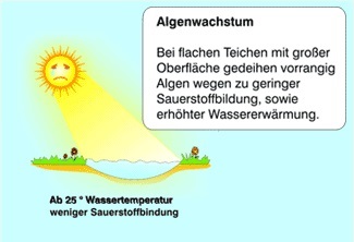 Gartenteich Sonneneinstrahlung Algenwachstum Gartenteich Sonneneinstrahlung Algenwachstum