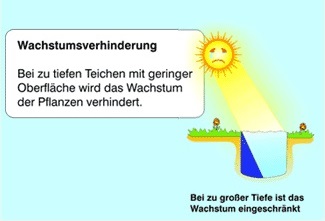 Beeinflussung der Sonneneinstrahlung Wachstumsverhinderung Beeinflussung der Sonneneinstrahlung Wachstumsverhinderung