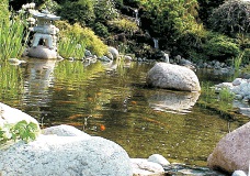 Gartenteich mit Verzierung