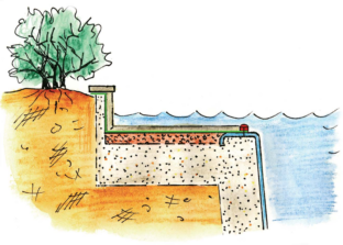 Seitenansicht Naturpool mit Flachwasserzone